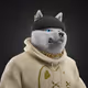 d_v