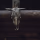 for_valhallacrypto