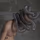 Klent4d