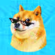 DogeLY