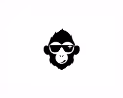 OpenSea profile picture for @Abdelatif