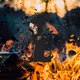 ShawnTheMoney