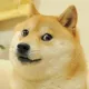 DogeDojo