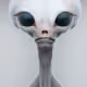 _RRRRR_