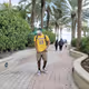 WiseMoneyTeam