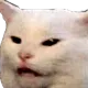 wendamxx