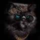 0xe4d73a5765821adbc9d044a5c81f17665bf9bd0a