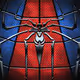 SPIDER84