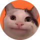 CatManDoesNFT