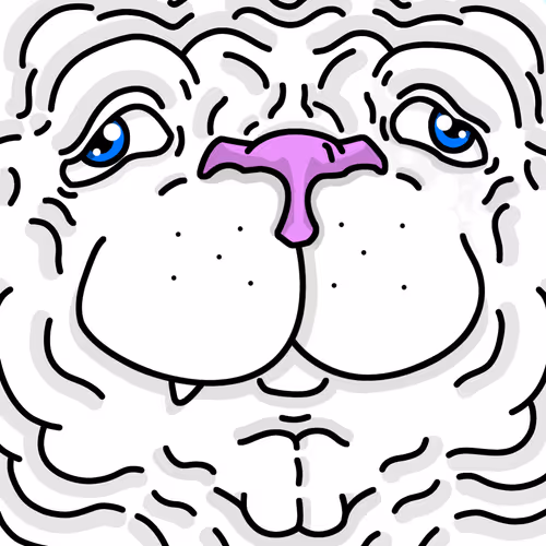 OpenSea profile picture for @Wrinkly