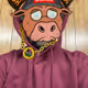 CryptoRaposa