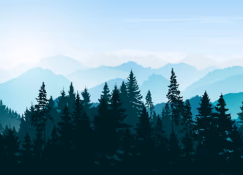 OpenSea banner for @Sons