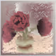 0xe57c1cee4ad2c4289ed0aca9aa85fd8a5ac50484