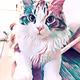JMeoww