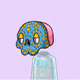 Phipis