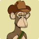A-Raving-Ape_Vault