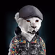 0xe61f99821114d33648a5ed893362bcc30b2f5540