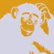 BAMCoHOLDCRIPTO2