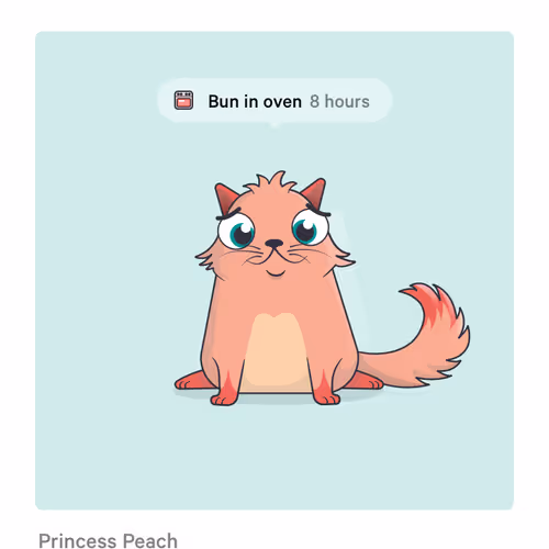 OpenSea profile picture for @Peach