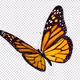 0xe6699a87e63b8357e7d3af79bec90e20ad9516af
