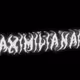 Maximilianaire