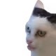 0xe6f150f7a6605255f667b1be380e3da09ddb8c3b
