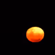 0xe6f3d3123e03f566506d53041b1cc42bc255bf2c