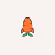 Carrotcompany