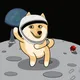 MyshibainuHK