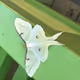 Waylon_Warlock