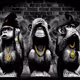 MyWiseMonkey