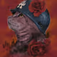 CommanderKitty