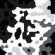 PixelMapsDev