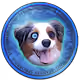 LockedShell028