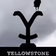 YellowstoneStallions