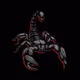 0xe75b307a730495b3bad781552c8d88b3fd4b75a8