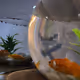 Ladi_co
