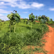 TeakaHoldings