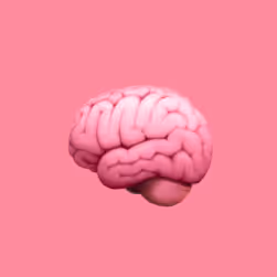 OpenSea profile picture for @purchased