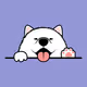 king_quatchi