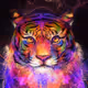 thetigerperkins