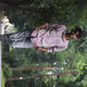Noyon66