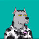 LPNo