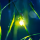 Ultimate_FireFly