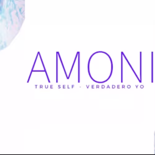 OpenSea banner for @AMONI
