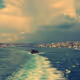 weese55sey