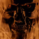 HODLL_vault