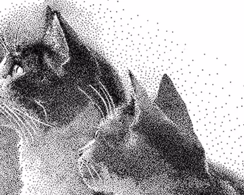 OpenSea banner for @mramos