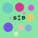 SebsNFT
