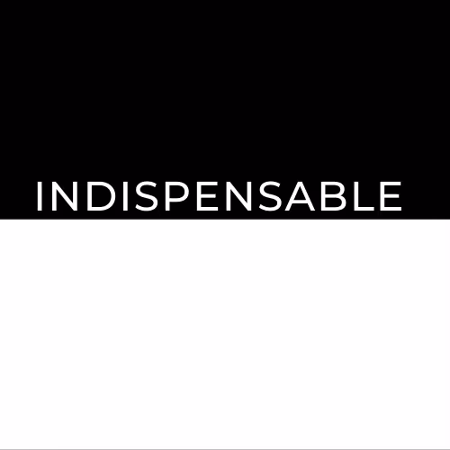 OpenSea profile picture for @INDISPENSABLE